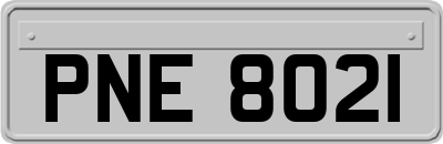 PNE8021
