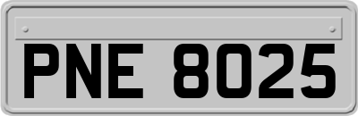 PNE8025