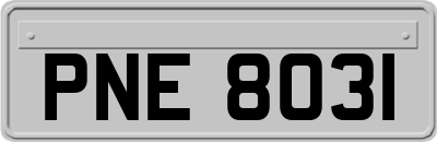 PNE8031