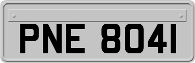 PNE8041