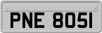 PNE8051