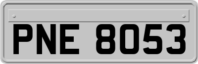 PNE8053