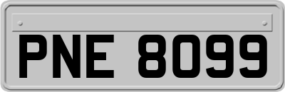 PNE8099