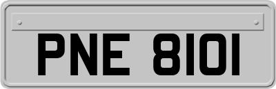 PNE8101
