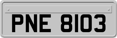 PNE8103