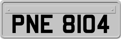 PNE8104
