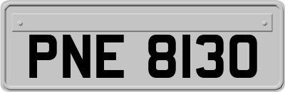 PNE8130