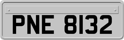 PNE8132