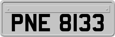 PNE8133