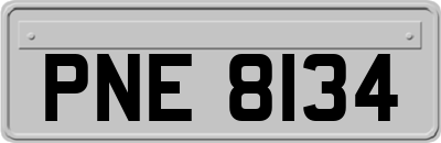 PNE8134
