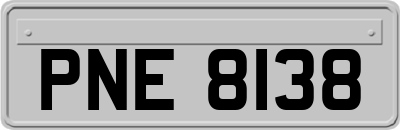 PNE8138