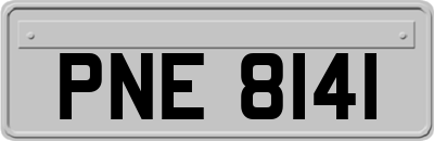 PNE8141