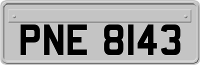 PNE8143