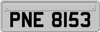 PNE8153