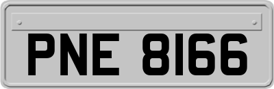 PNE8166