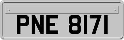 PNE8171