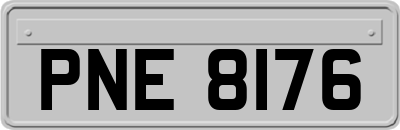 PNE8176