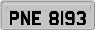 PNE8193