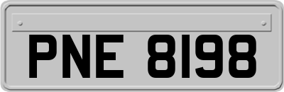 PNE8198