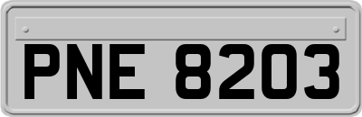 PNE8203