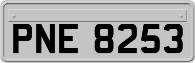 PNE8253