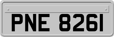PNE8261