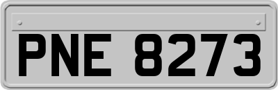 PNE8273