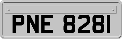 PNE8281