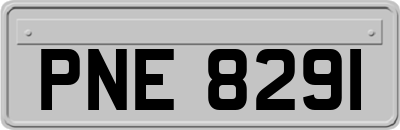 PNE8291