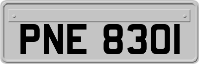 PNE8301