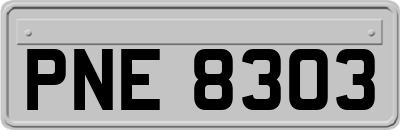 PNE8303