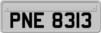 PNE8313