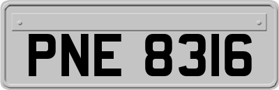 PNE8316