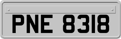 PNE8318
