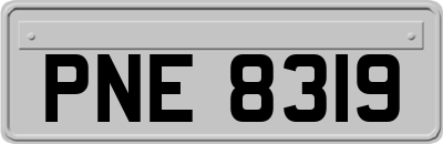 PNE8319
