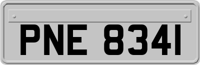 PNE8341