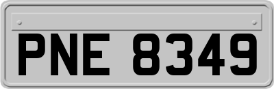 PNE8349