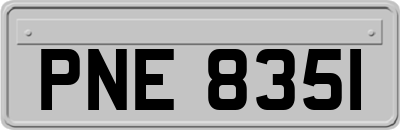 PNE8351