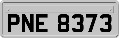 PNE8373