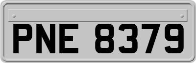 PNE8379