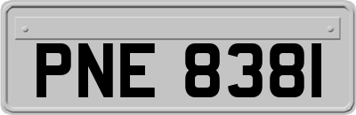 PNE8381