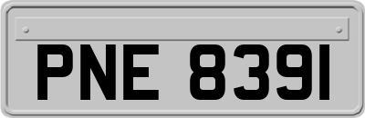 PNE8391