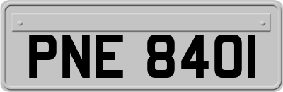 PNE8401