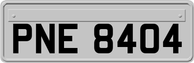 PNE8404