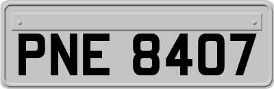 PNE8407
