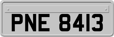 PNE8413