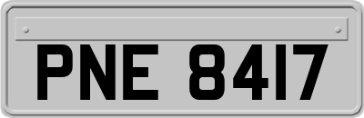 PNE8417