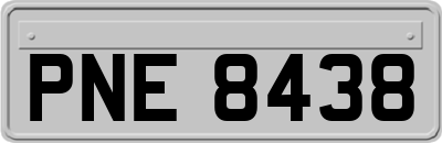 PNE8438