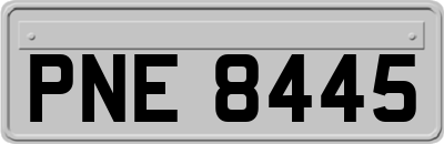 PNE8445