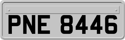 PNE8446